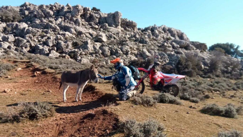Natura Sardegna Sandalion